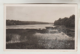 CPSM SAINT SAUVEUR EN PUISAYE (Yonne) - L'Etang De Moutiers - Saint Sauveur En Puisaye