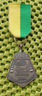 Medaille -   W.S.V. De Ploeg Zelhem - Herfstwandeltocht .  -  Original Foto  !!  Medallion  Dutch - Andere & Zonder Classificatie