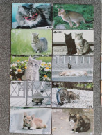 CHINA - CAT-03 - SET OF 10 CARDS - Chine