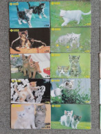 CHINA - CAT-04 - SET OF 10 CARDS - Chine