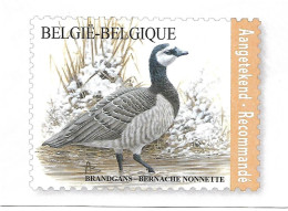 Belgium - Souvenir Card 2019 - Bpost - BUZIN :    Barnacle Goose    Branta Leucopsis - Gänsevögel