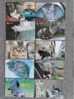 CHINA - CAT-06 - SET OF 10 CARDS - Chine