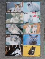 CHINA - CAT-07 - SET OF 10 CARDS - Chine