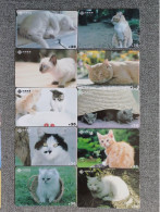 CHINA - CAT-09 - SET OF 10 CARDS - Chine