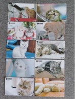 CHINA - CAT-10 - SET OF 10 CARDS - Cina