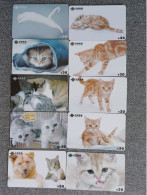 CHINA - CAT-11 - SET OF 10 CARDS - Chine