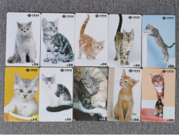 CHINA - CAT-12 - SET OF 10 CARDS - Chine