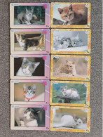 CHINA - CAT-16 - SET OF 10 CARDS - Cina
