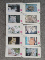 CHINA - CAT-17 - SET OF 10 CARDS - Cina