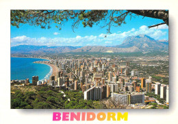 Benidorm - Vue Panoramique - Other & Unclassified