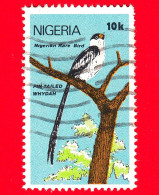 NIGERIA  - Usato - 1984 - Uccelli - Whydah Dalla Coda A Spillo (Vidua Macroura) - 10 - Nigeria (1961-...)