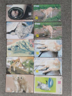 CHINA - CAT-21 - SET OF 10 CARDS - Cina