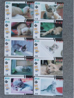 CHINA - CAT-24 - SET OF 10 CARDS - Chine