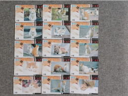 CHINA - CAT-26 - SET OF 15 CARDS - China