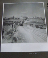 PHOTOGRAPHIES ORIGINALES - DEPART EN OPERATION- PELOTON TRANSMISSIONS  7E HUSSARDS - ALGERIE - 1959 - Guerre, Militaire