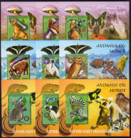 Madagascar 1999, Animals, Mushrooms, Monkey, Owl, Bat, Butterflies, Frog, Comet, Orchids, Rotary, Lions, 9BF - Apen