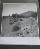 PHOTOGRAPHIES ORIGINALES - LE P.C. "PAPA CHARLIE" -   7E HUSSARDS - ALGERIE - 1959 - Krieg, Militär