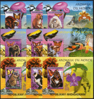 Madagascar 1999, Animals, Mushrooms, Monkey, Owl, Butterflies, Frog, Orchids, Bird, 9BF - Apen