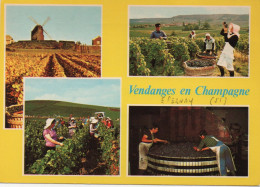 CPM - VENDANGES EN CHAMPAGNE - Champagne-Ardenne