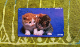 Phone Card - Kitten - Japan - Pesci