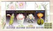 2009 Flora  Cactusses  4v. -  MNH   Bulgaria / Bulgarie - Neufs