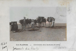 Algérie )  Sud Algérien  -   Chameliers Dans Les Dunes De Sables - Professioni