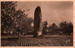 CPA - MENHIR - Pierre Du Champ-Dolent (Environs De DOL)… Edition Yvon - Dolmen & Menhire