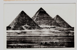 Giza Cairo The Pyramides 3 Postcards - Gizeh