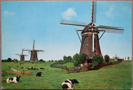 HOLLAND NETHERLANDS LEIDSCHENDAM DRAINAGE WINDMILL KARTE CARD POSTCARD CARTOLINA ANSICHTSKARTE CARTE POSTALE POSTKARTE - Amsterdam