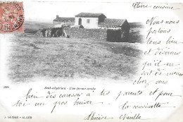 Algérie )   Sud Algérien  -  Une Ferme Arabe - Professions