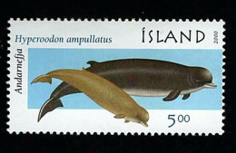 2000 Whales Michel IS 954 Stamp Number IS 911 Yvert Et Tellier IS 891 Stanley Gibbons IS 966 AFA IS 939 Xx MNH - Ungebraucht