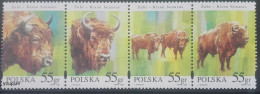 Poland 1996, Bison, MNH Stamps Strip - Ungebraucht