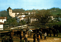 K1802 - PAYS BASQUE - La Foire Aux Pottoks à ESPELETTE - Midi-Pyrénées