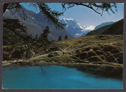 110350/ AROLLA, Val D'Arolla, Lac Bleu De Louché, Mont Collon - Evolène