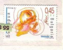 2005 Christmas / NEW YEAR  1v.- MNH  Bulgaria/Bulgarie - Unused Stamps