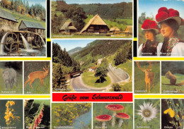 Grüße Vom Schwarzwald (910) - Roebel