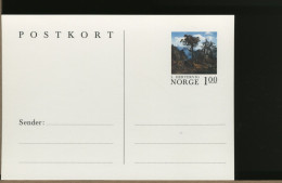 NORVEGIA - NORGE - CARTOLINA INTERO POSTALE  -   POSTKORT - Postal Stationery