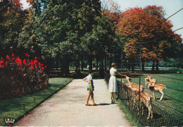 Les Biches Du Parc De La Tête D'Or - Lyon 6