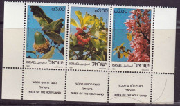 ISRAEL - Fleurs, Trees Of The Holy Land - Y&T N° 813-815 - 1981 - MNH - Neufs (avec Tabs)