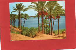 EGYPTE----ASSOUAN--- ASSWAN--Beautiful View Of The Nile At Asswan--voir 2 Scans - Asuán