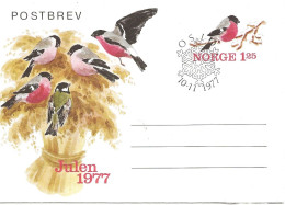 Norway 1977 Post Letter Imprinted Stamp For Christmas 1977, Bird, Eurasian Bullfinch, , Cancelled 10.11  FDC - Storia Postale