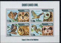 Owls- Hiboux 2013 XXX - Maldivas (1965-...)