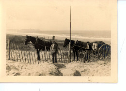 Photo De St Martin De Bréhal, Ramassage Du Varech Département De La Manche Années 1920 Format 13/18 - Orte