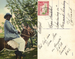 Curacao, N.W.I., Man On Horse Or Donkey (1948) Postcard - Curaçao