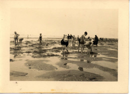 Photo De St Martin De Bréhal, La Plage,  Département De La Manche Années 1920 Format 13/18 - Lieux