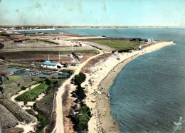 17 Charente Maritime Angoulins En Avion Au Dessus De La Plage La Platere - Angoulins