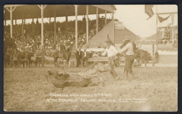 CALGARY STAMPEDE 1912 - RPPC By MARCELL Of CALGARY RODEO Saddling Wild Horses In Mud - COWBOY - CANADA - Calgary