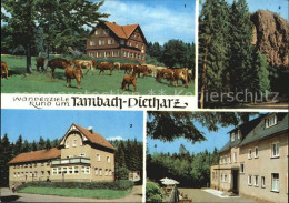 72550290 Tambach-Dietharz Berghotel Ebertswiese Falkenstein Radebachmuehle Waldb - Tambach-Dietharz