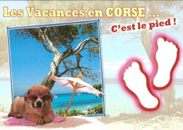 CPM - LES VACANCES EN CORSE C'EST LE PIED - CHIEN - Corse