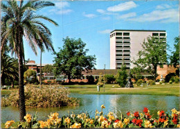 19-2-2024 (4 X 36) Australia  - WA - Perth Queen's Gardens - Alberi